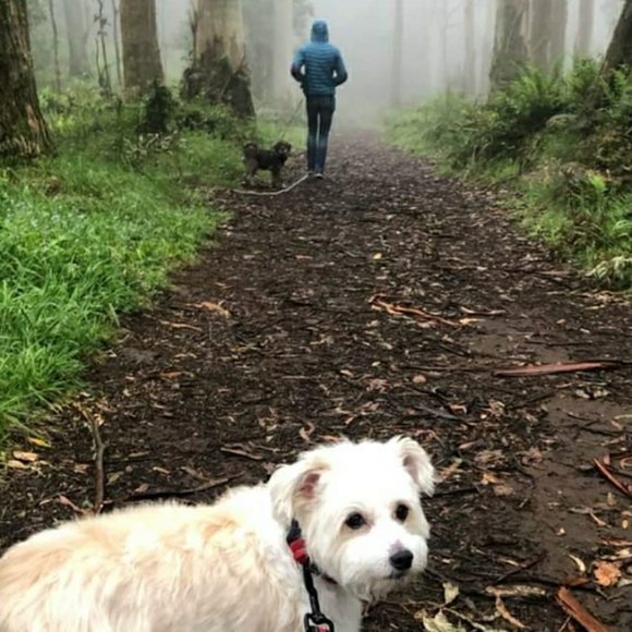 Meet your Posher, Karen - Picture 3 of 10